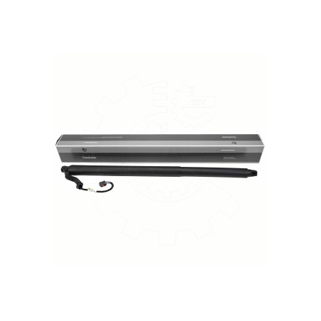 Vérin Hayon de Coffre Arrière Droit Pour Kia Stinger Hatchback Van 81770J5100