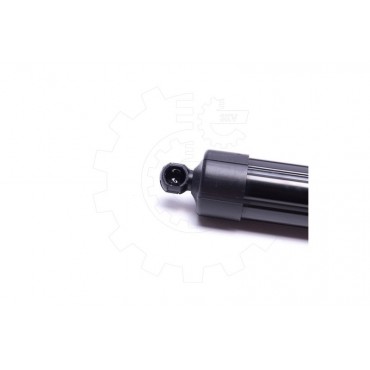 Vérin Hayon de Coffre Arrière Droit Pour Lexus NX 6891079005 6891079015