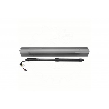 Vérin Hayon de Coffre Pour Nissan Pathfinder III Van 905603KA0E 905609PJ0A