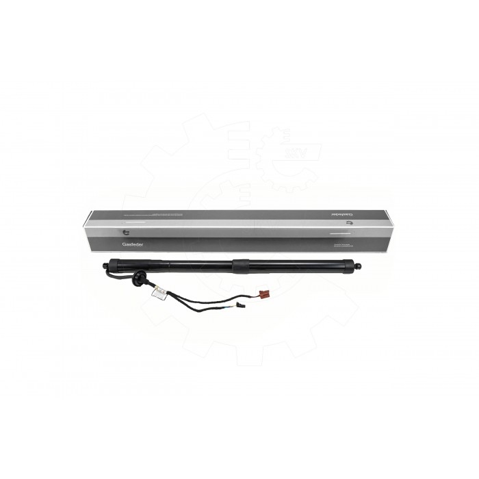 Vérin Hayon de Coffre Pour Renault Talisman 904524541R