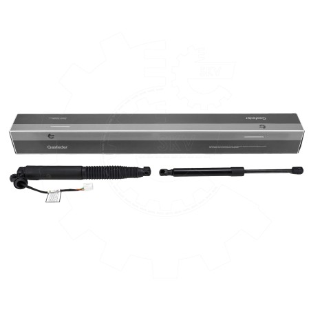 Vérin Hayon de Coffre Arrière Gauche Pour Tesla Model 3 155148800B 155148800C
