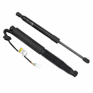 Vérin Hayon de Coffre Arrière Gauche Pour Tesla Model 3 155148800B 155148800C