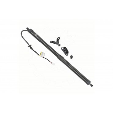 Vérin Hayon de Coffre Arrière Gauche Pour Toyota Fortuner 6892071050