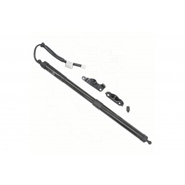 Vérin Hayon de Coffre Arrière Droit Pour Toyota Highlander 6891009020