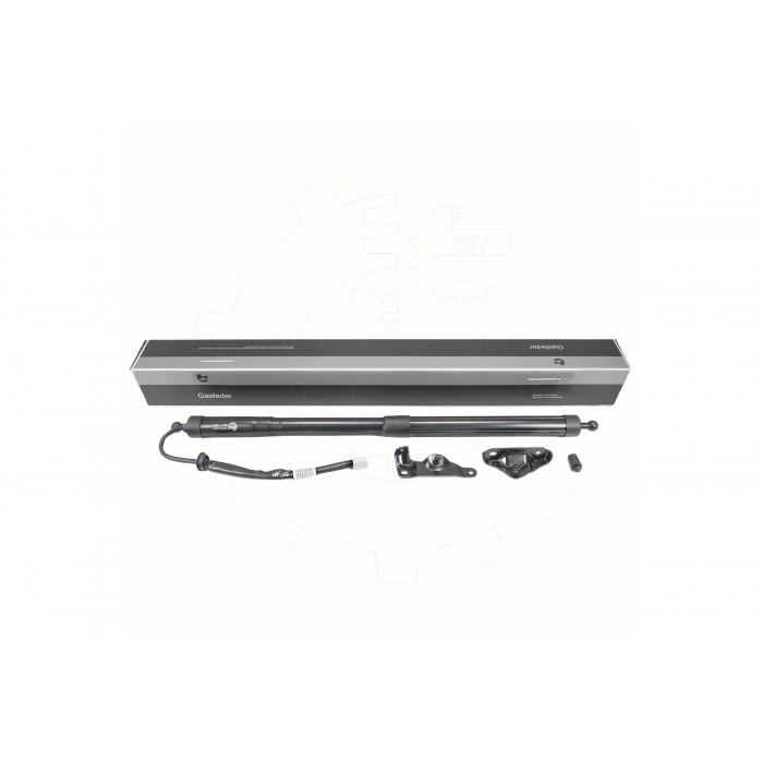 Vérin Hayon de Coffre Arrière Gauche Pour Toyota Highlander 6891009051