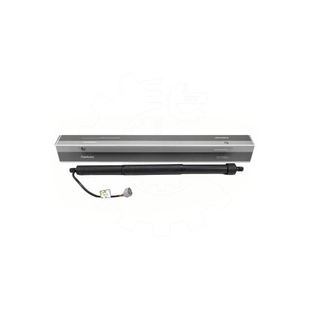 Vérin Hayon de Coffre Arrière Droit Pour Toyota Land Cruiser 300 6891060110