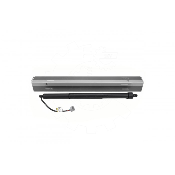 Vérin Hayon de Coffre Arrière Droit Pour Toyota Land Cruiser 300 6891060110