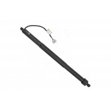 Vérin Hayon de Coffre Arrière Droit Pour Toyota Land Cruiser 300 6891060110