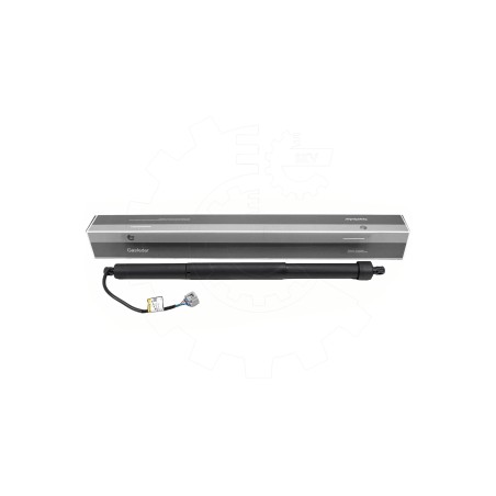 Vérin Hayon de Coffre Arrière Gauche Pour Toyota Land Cruiser 300 6892060010