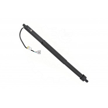 Vérin Hayon de Coffre Arrière Gauche Pour Toyota Land Cruiser 300 6892060010
