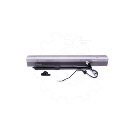 Vérin Hayon de Coffre Arrière Gauche Pour Toyota RAV 4 IV 6892009010