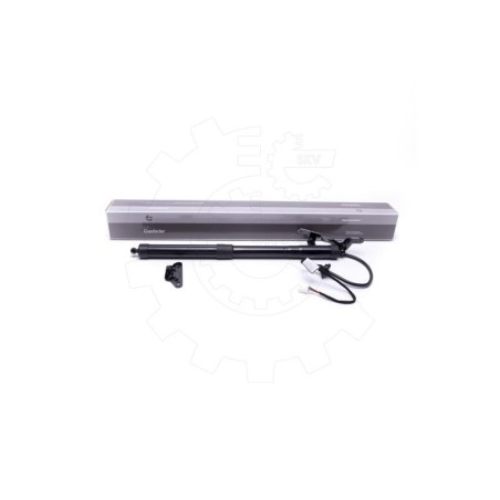Vérin Hayon de Coffre Arrière Droit Pour Toyota RAV 4 IV 6891009010 6891009012