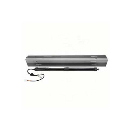 Vérin Hayon de Coffre Arrière Droit Pour Toyota RAV 4 V 689100R060 6891042060