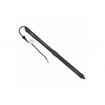 Vérin Hayon de Coffre Arrière Droit Pour Toyota RAV 4 V 689100R060 6891042060