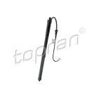 Vérin Hayon de Coffre Pour Toyota RAV 4 V 6892042020