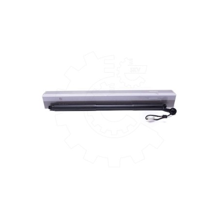 Vérin Hayon de Coffre Pour Volvo V90 II 31385257 32227506