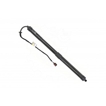 Vérin Hayon de Coffre Pour Volvo XC60 00000000031365276 31425980 31455987