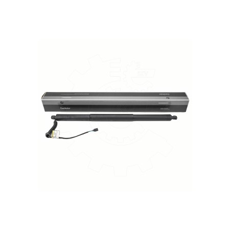 Vérin Hayon de Coffre Pour VW Arteon 3G8827851 3G8827851A 3G8827851B 3G8827851C