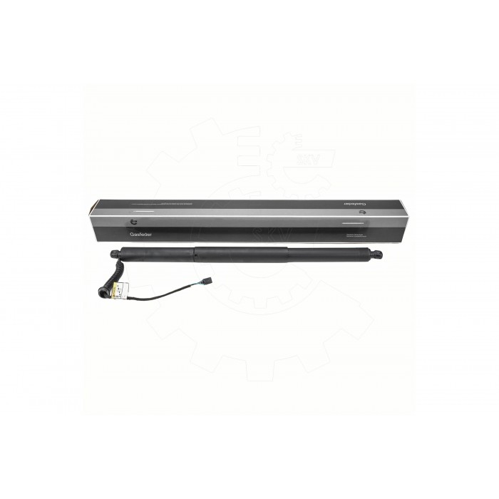 Vérin Hayon de Coffre Pour VW Arteon 3G8827851 3G8827851A 3G8827851B 3G8827851C