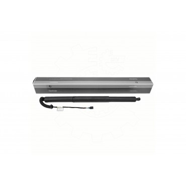 Vérin Hayon de Coffre Pour VW Atlas 3CN827851905