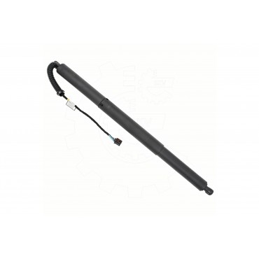 Vérin Hayon de Coffre Pour VW Atlas 3CN827851905