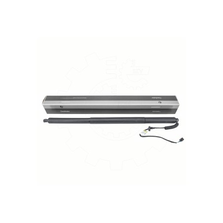 Vérin Hayon de Coffre Pour VW Multivan T7 7T0827851C