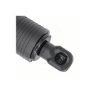 Vérin Hayon de Coffre Pour VW Multivan T7 7T0827851C