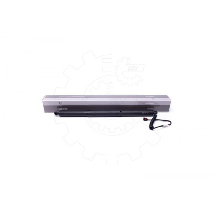 Vérin Hayon de Coffre Pour VW Passat 3G9827851A 3G9827851B 3G9827851C