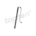 Vérin Hayon de Coffre Pour VW Sharan 7N0827851GIIT 7N0827851H 7N0827851HIIT