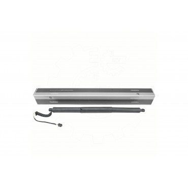 Vérin Hayon de Coffre Arrière Gauche Pour VW T-ROC 2GA827851 2GA827851905