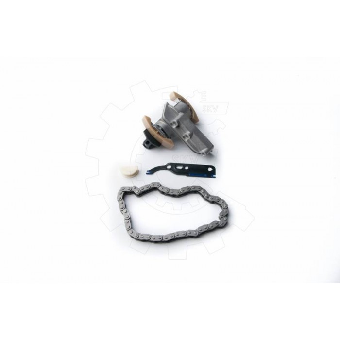 Kit Chaine de Distribution Pour Audi A4 A6 058109217D