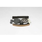 Kit Chaine de Distribution Pour Mercedes-Benz Classe A Vaneo 6680500111