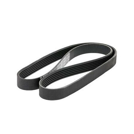 Courroie d'accessoire trapézoidale Pour A3 C2 CITAN 307 CLIO LEON SHARAN 5750J5