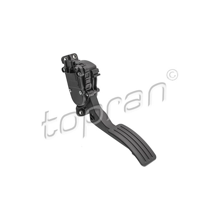 Pédale d'Accélérateur Pour Renault Logan Dacia Logan Sandero