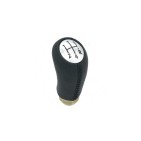 Pommeau Levier de Vitesse Pour Renault Clio II III Logan Modus Twingo 328650918R
