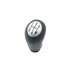 Pommeau Levier de Vitesse Pour Renault Megane II Scénic 8200079112 8200379950