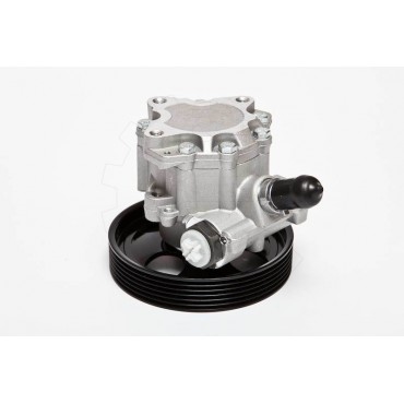 Pompe de Direction Assistée Pour Peugeot Partner Citroën Berlingo 4007VR