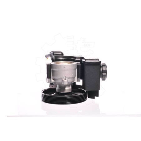 Pompe de Direction Assistée Pour Peugeot 206 Citroën C2 4007V5 9631411580