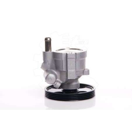 Pompe de Direction Assistée Pour Renault Clio I II Kangoo Logan Megane Scenic