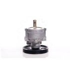 Pompe de Direction Assistée Pour Renault Clio I II Kangoo Logan Megane Scenic