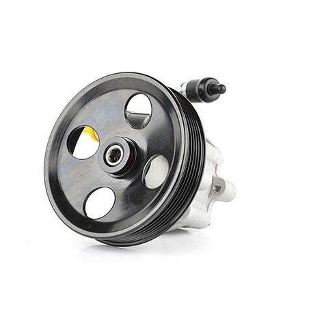 Pompe de Direction Assistée Pour Ford Fiesta V Fusion Mazda 2