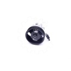 Pompe de Direction Assistée Pour Nissan Murano II 491101AA0A 491101AA0C