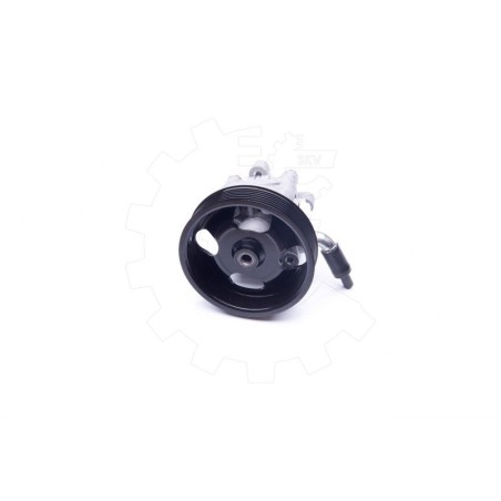 Pompe de Direction Assistée Pour Nissan Murano II 491101AA0A 491101AA0C