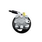 Pompe de Direction Assistée Pour Nissan Murano II 491101AA0A 491101AA0C
