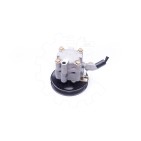 Pompe de Direction Assistée Pour Nissan Primera 491109F600