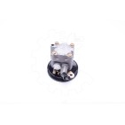 Pompe de Direction Assistée Pour Nissan Primera 491109F600