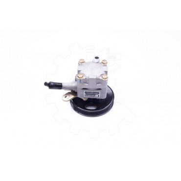 Pompe de Direction Assistée Pour Nissan Primera 491109F600