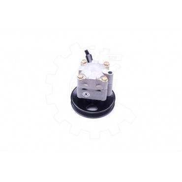 Pompe de Direction Assistée Pour Nissan Primera 491109F600