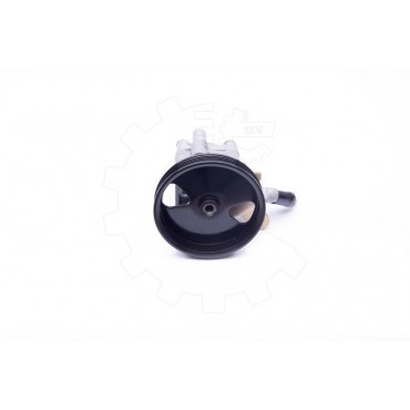 Pompe de Direction Assistée Pour Nissan Primera 491109F600