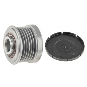 Poulie d'Alternateur Pour BMW Série 1 E81 E87 3 E46 E90 E91 5 E60 12317521178